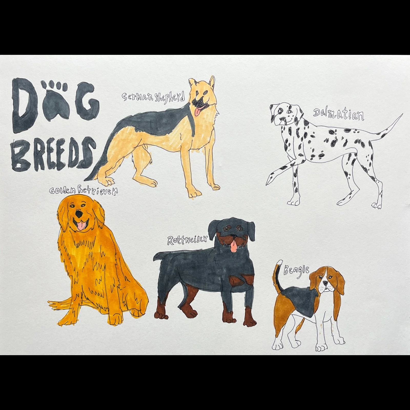 James Roll - Dog Breed Posters — ArtWorking